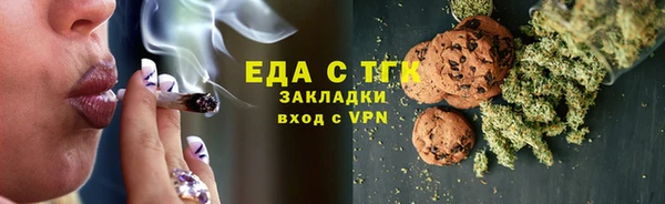 СК Алексин