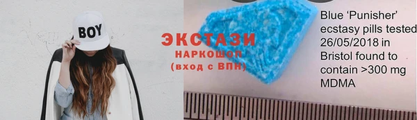 СК Алексин