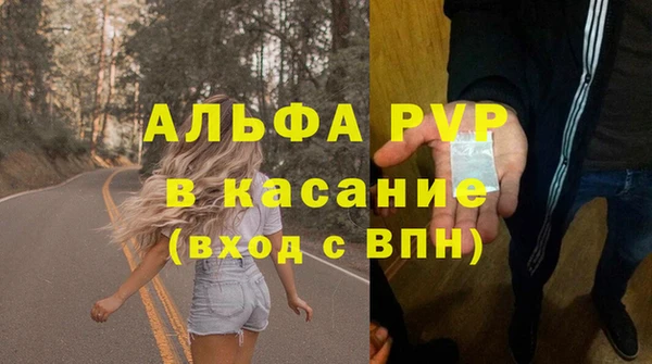 СК Алексин
