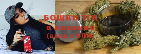 СК Алексин