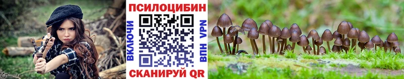Галлюциногенные грибы прущие грибы  продажа наркотиков  Омутнинск 