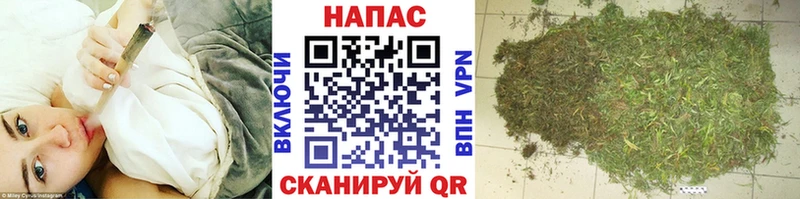 Конопля марихуана  Омутнинск 